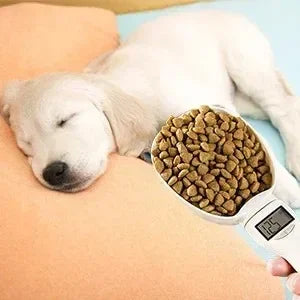 Digital Pet Food Measuring Spoon Scale