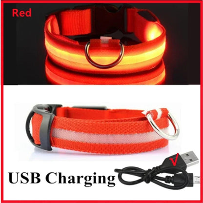 LED USB Rechargeable Glow Pet Collar