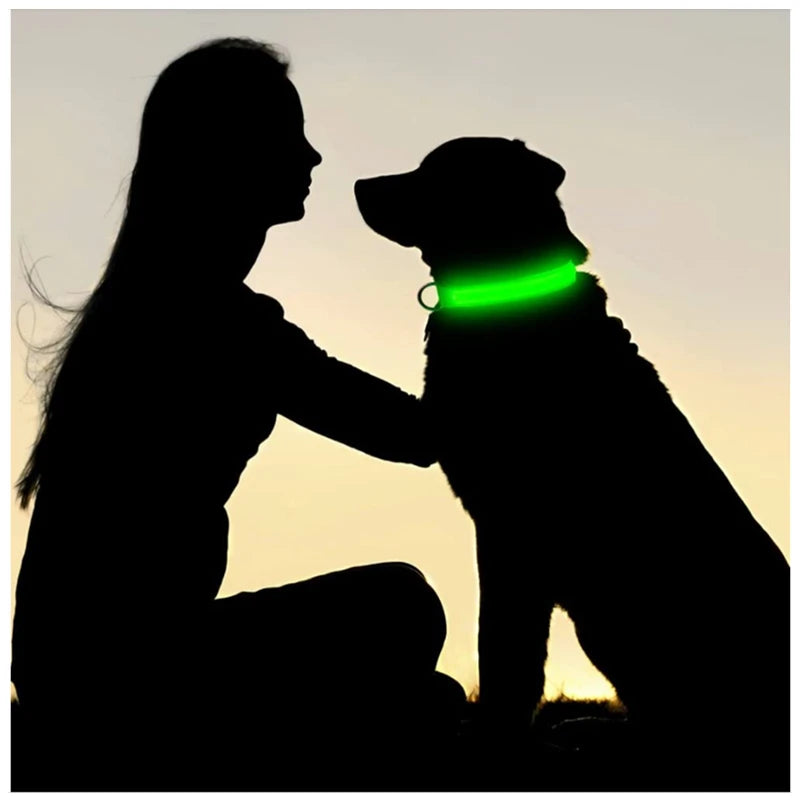 LED USB Rechargeable Glow Pet Collar