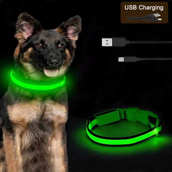 LED USB Rechargeable Glow Pet Collar