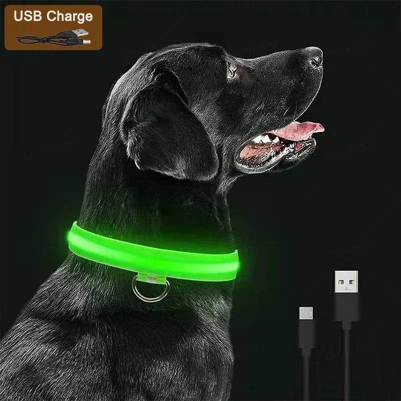 LED USB Rechargeable Glow Pet Collar