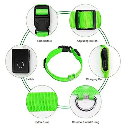 LED USB Rechargeable Glow Pet Collar