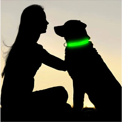 LED USB Rechargeable Glow Pet Collar