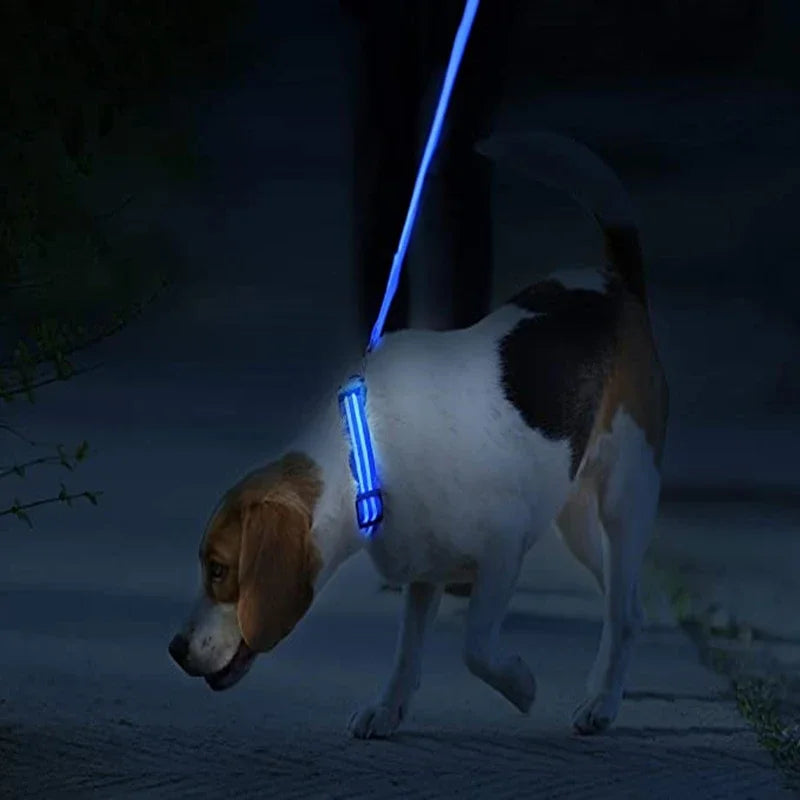 LED USB Rechargeable Glow Pet Collar