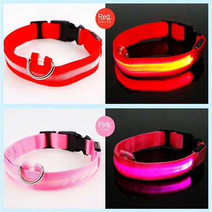 LED USB Rechargeable Glow Pet Collar