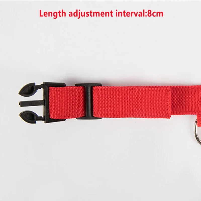 LED USB Rechargeable Glow Pet Collar