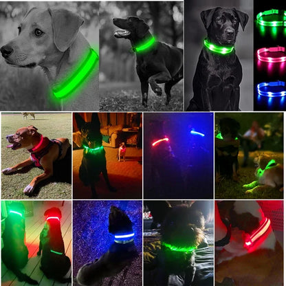 LED USB Rechargeable Glow Pet Collar