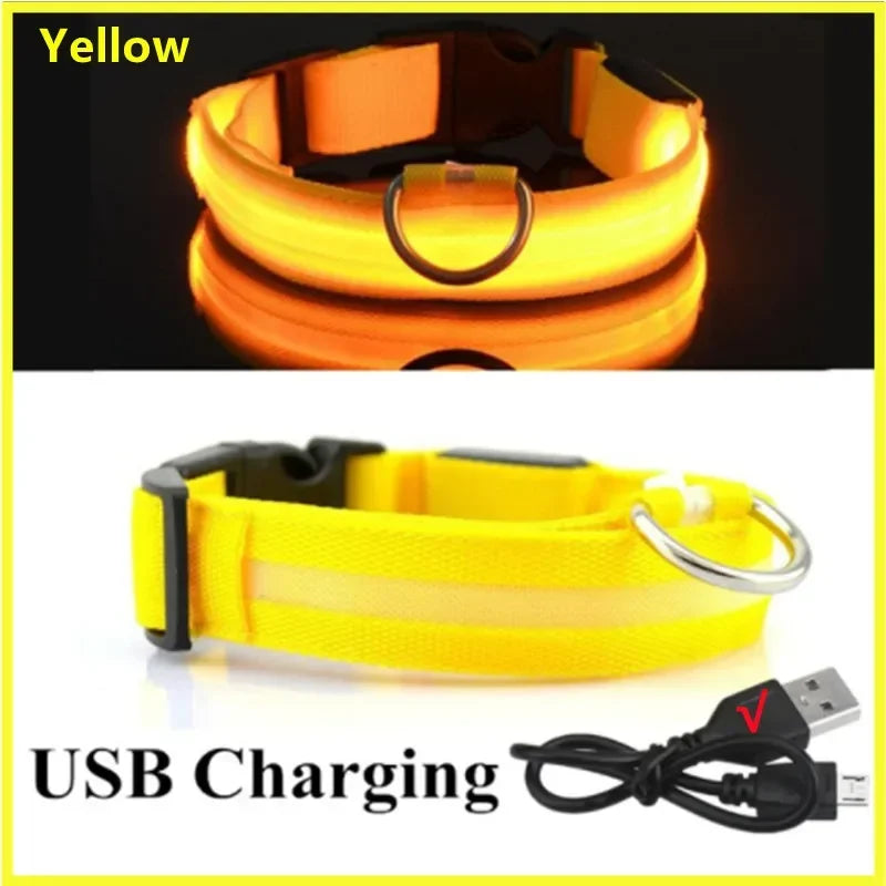 LED USB Rechargeable Glow Pet Collar