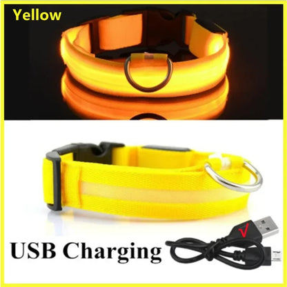 LED USB Rechargeable Glow Pet Collar