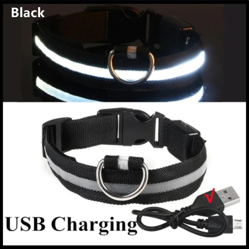 LED USB Rechargeable Glow Pet Collar