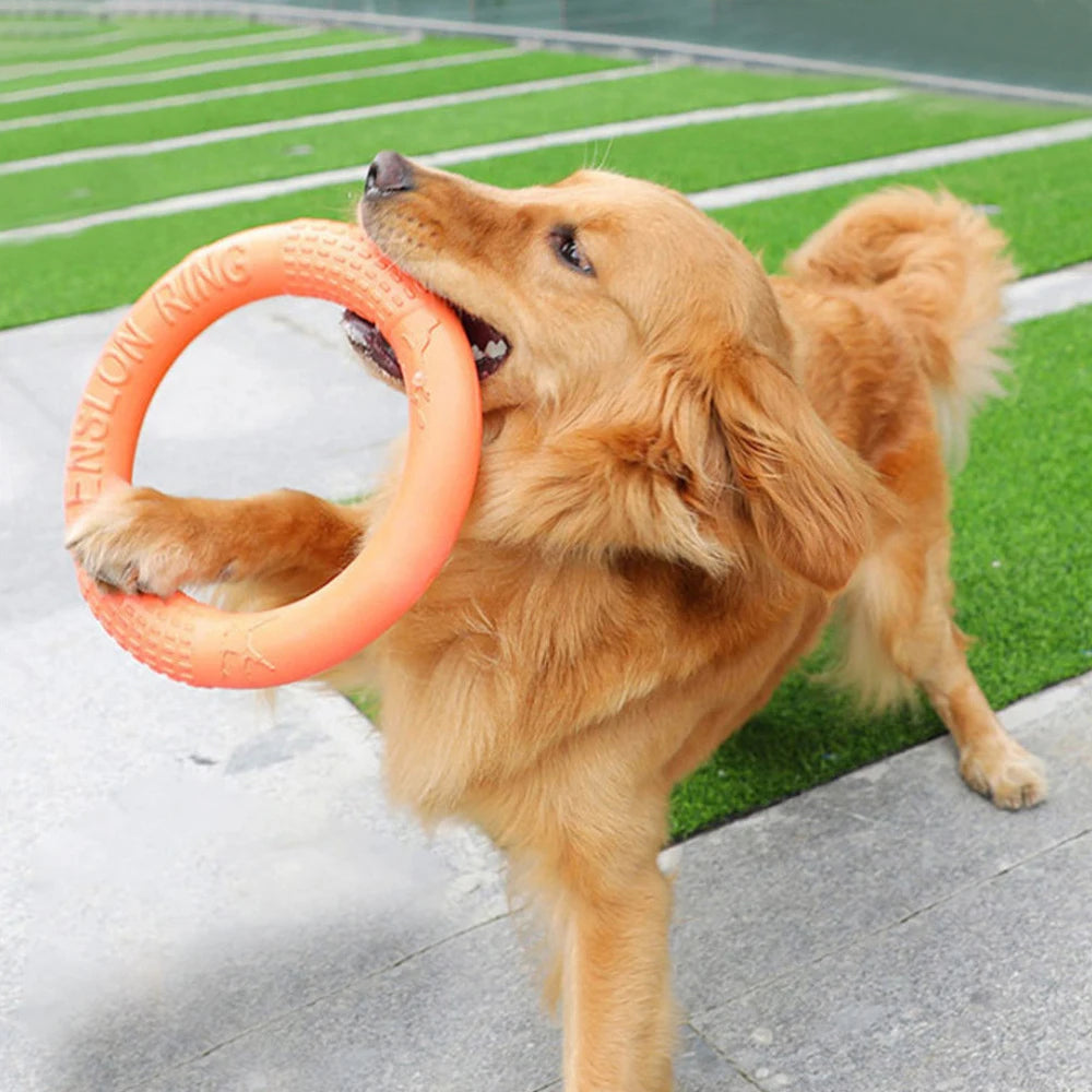 Orange EVA Dog Training Flying Disk & Ring Puller Toy