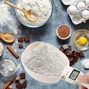 Digital Pet Food Measuring Spoon Scale