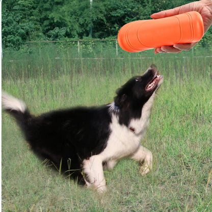 Shishi Silicone Flying Disc Dog Toy