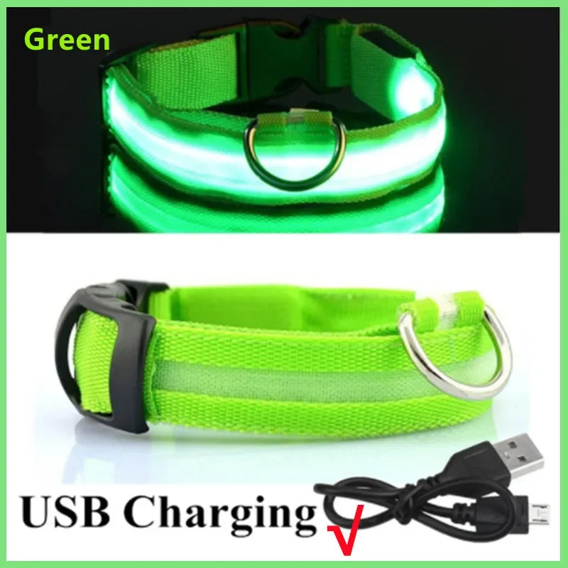 LED USB Rechargeable Glow Pet Collar