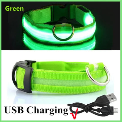 LED USB Rechargeable Glow Pet Collar