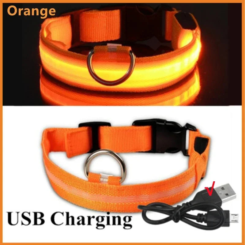 LED USB Rechargeable Glow Pet Collar