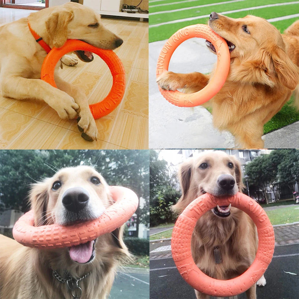 Orange EVA Dog Training Flying Disk & Ring Puller Toy