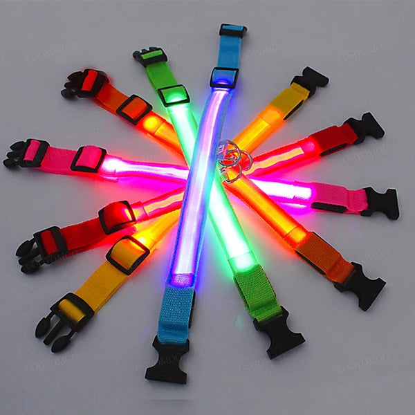 LED USB Rechargeable Glow Pet Collar