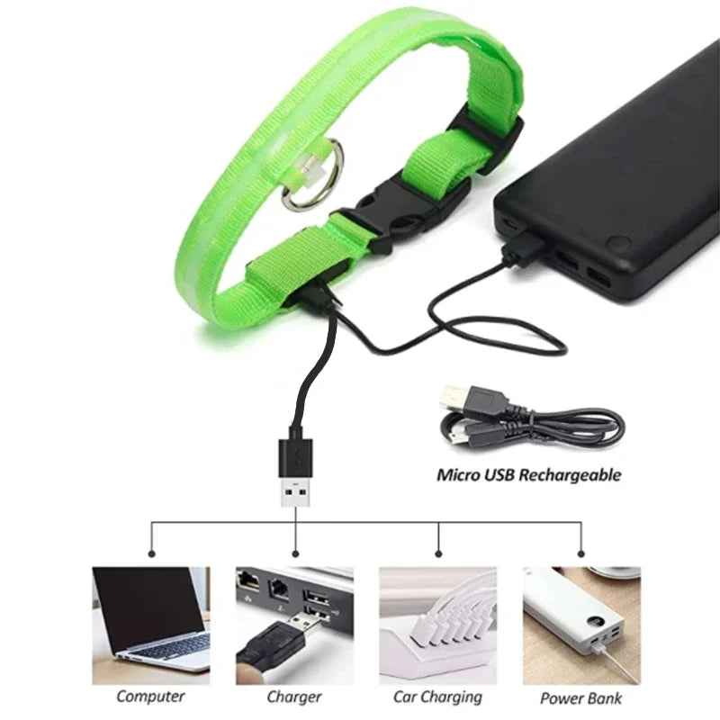 LED USB Rechargeable Glow Pet Collar