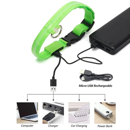 LED USB Rechargeable Glow Pet Collar