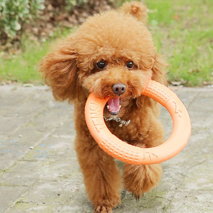 Orange EVA Dog Training Flying Disk & Ring Puller Toy