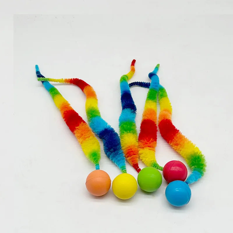 Cat Colorful Bouncing Worm Toy