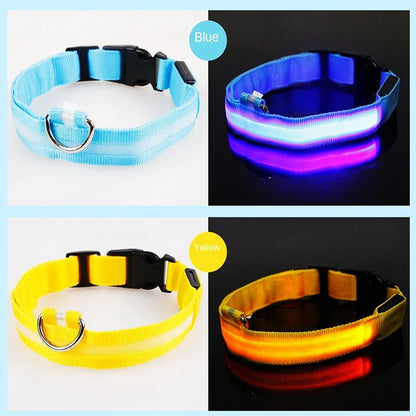 LED USB Rechargeable Glow Pet Collar
