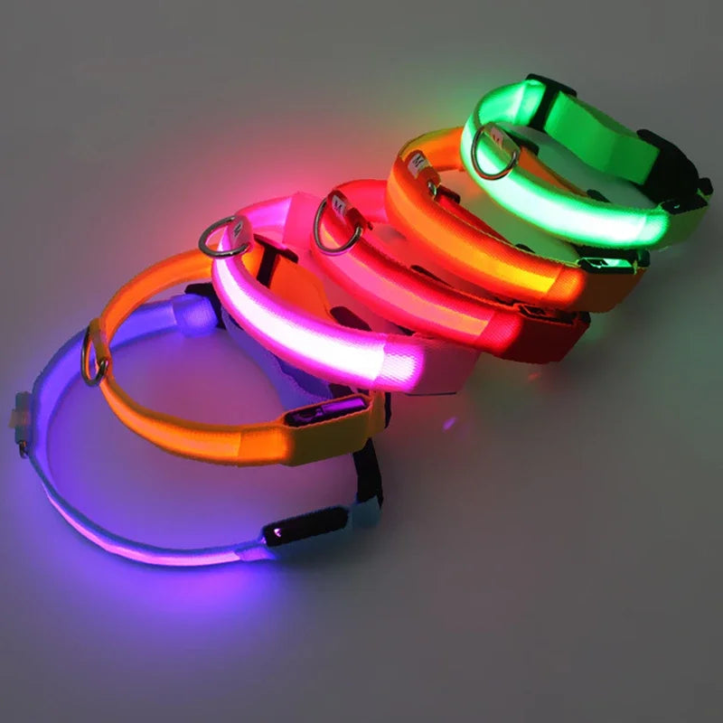 LED USB Rechargeable Glow Pet Collar