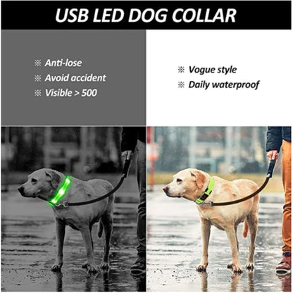LED USB Rechargeable Glow Pet Collar
