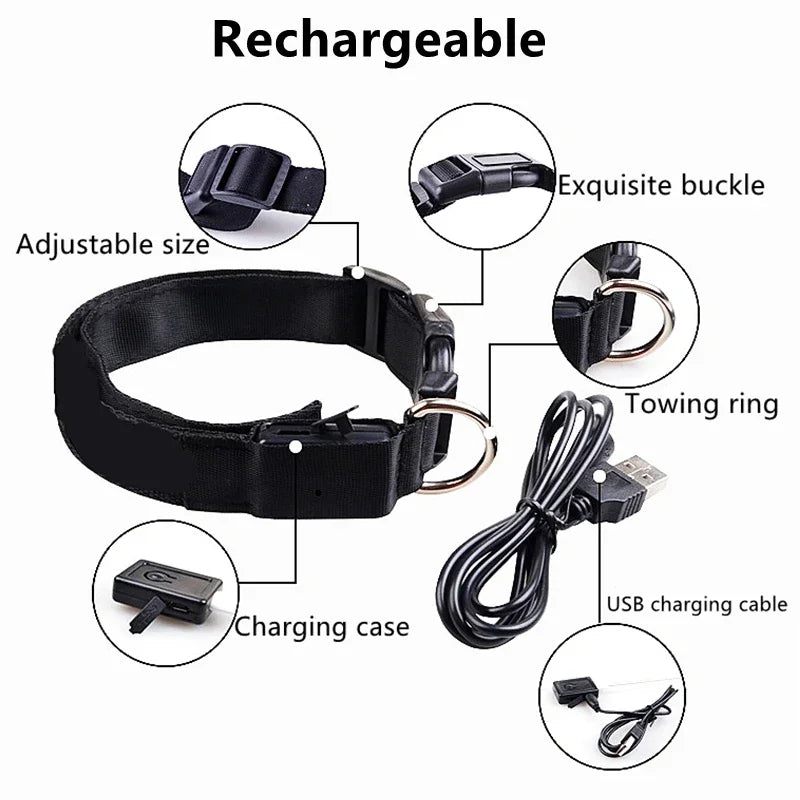 LED USB Rechargeable Glow Pet Collar