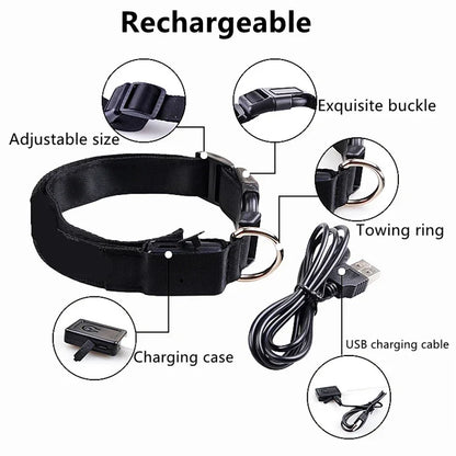 LED USB Rechargeable Glow Pet Collar