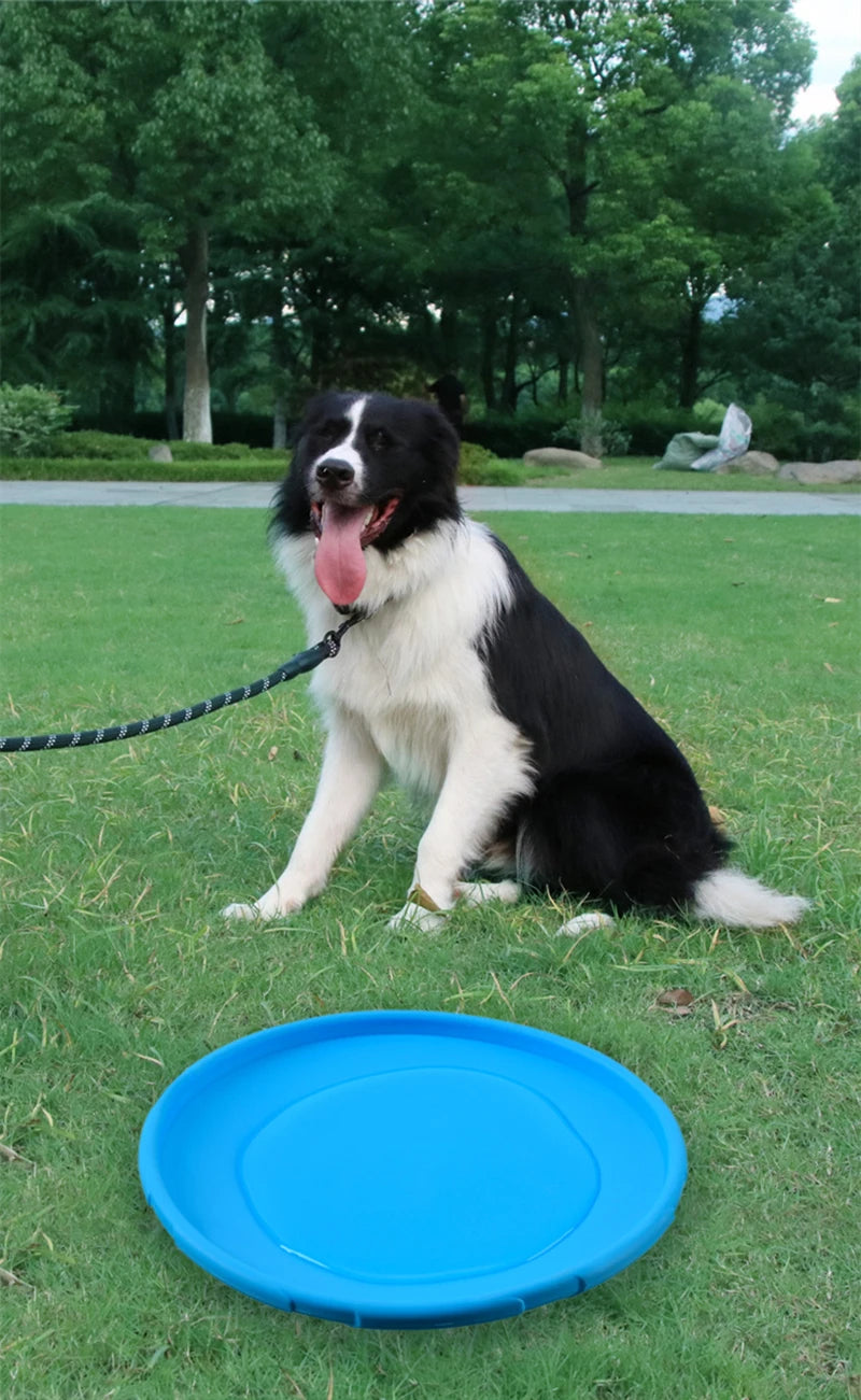 Shishi Silicone Flying Disc Dog Toy
