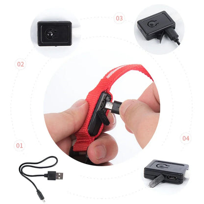 LED USB Rechargeable Glow Pet Collar