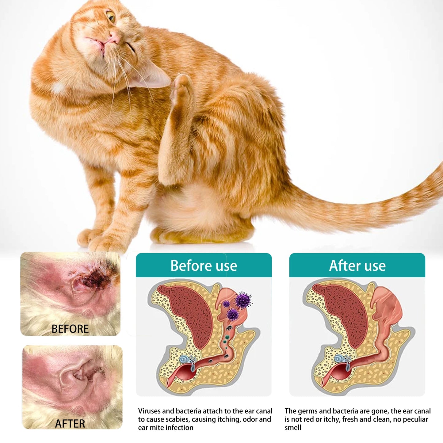 Pet Cleaning Finger Wipes for Cats & Dogs